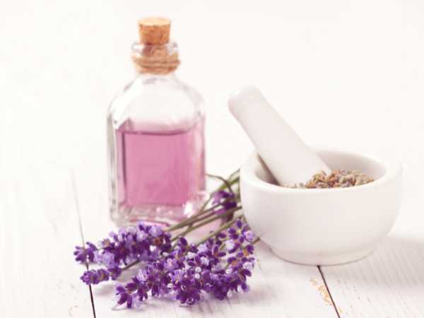 ส่วนผสม น้ําหอม jo malone